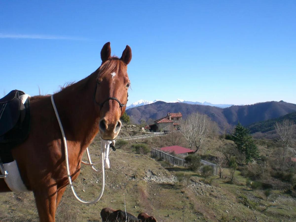 Willa Casa Della Barcareccia Calice al Cornoviglio Zewnętrze zdjęcie