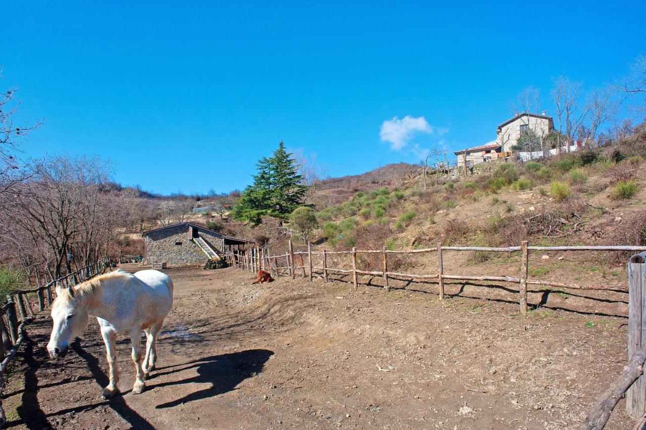 Willa Casa Della Barcareccia Calice al Cornoviglio Zewnętrze zdjęcie